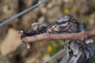 Les demandes d’intervention sur la table