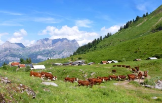 La troisième loi Montagne déposée à l'Assemblée