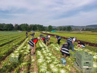 Solaal Aura : des dons en hausse, mais un modèle à consolider