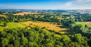 Le marché foncier est resté dynamique en 2025