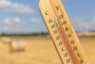 La canicule chahute les productions agricoles