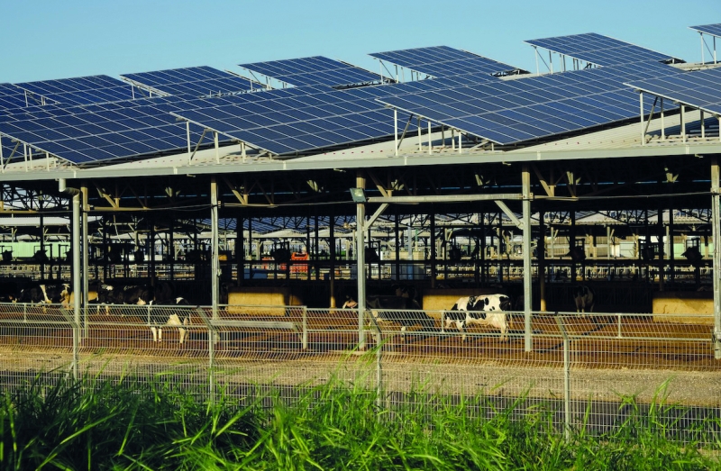 Energie renouvelable  : le photovoltaïque passe la vitesse supérieure
