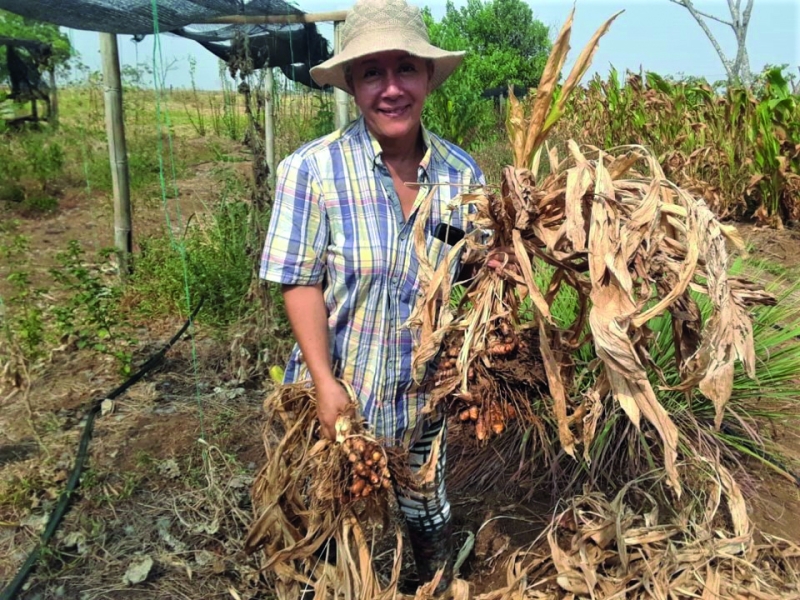 Des terres fertiles qui ne profitent pas au peuple,  les paradoxes de l’agriculture colombienne