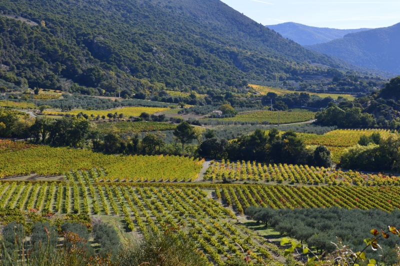 L’un des territoires les plus frais des Côtes-du-Rhône